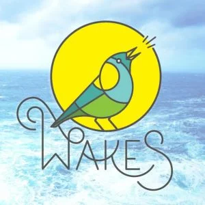 Picture of Wakes